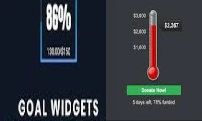 goal-widget-thermometer.jpg goal-widget-thermometer.jpg