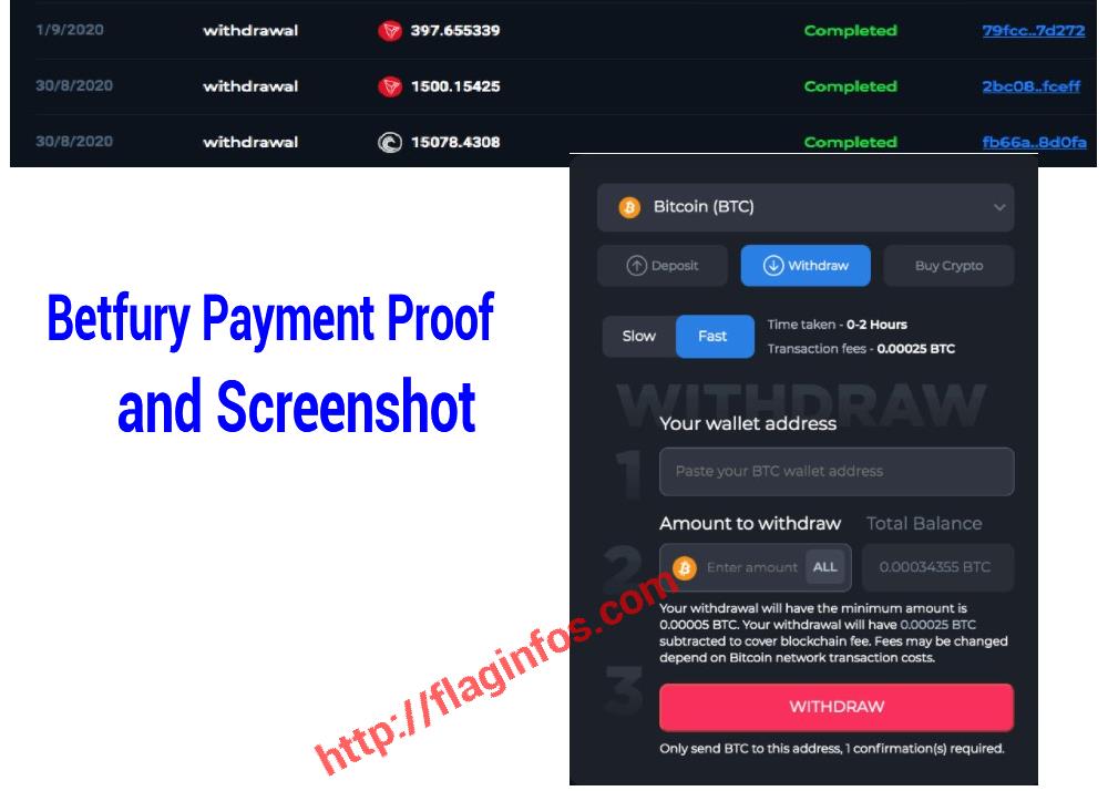 betfury-payment-proof-screenshot