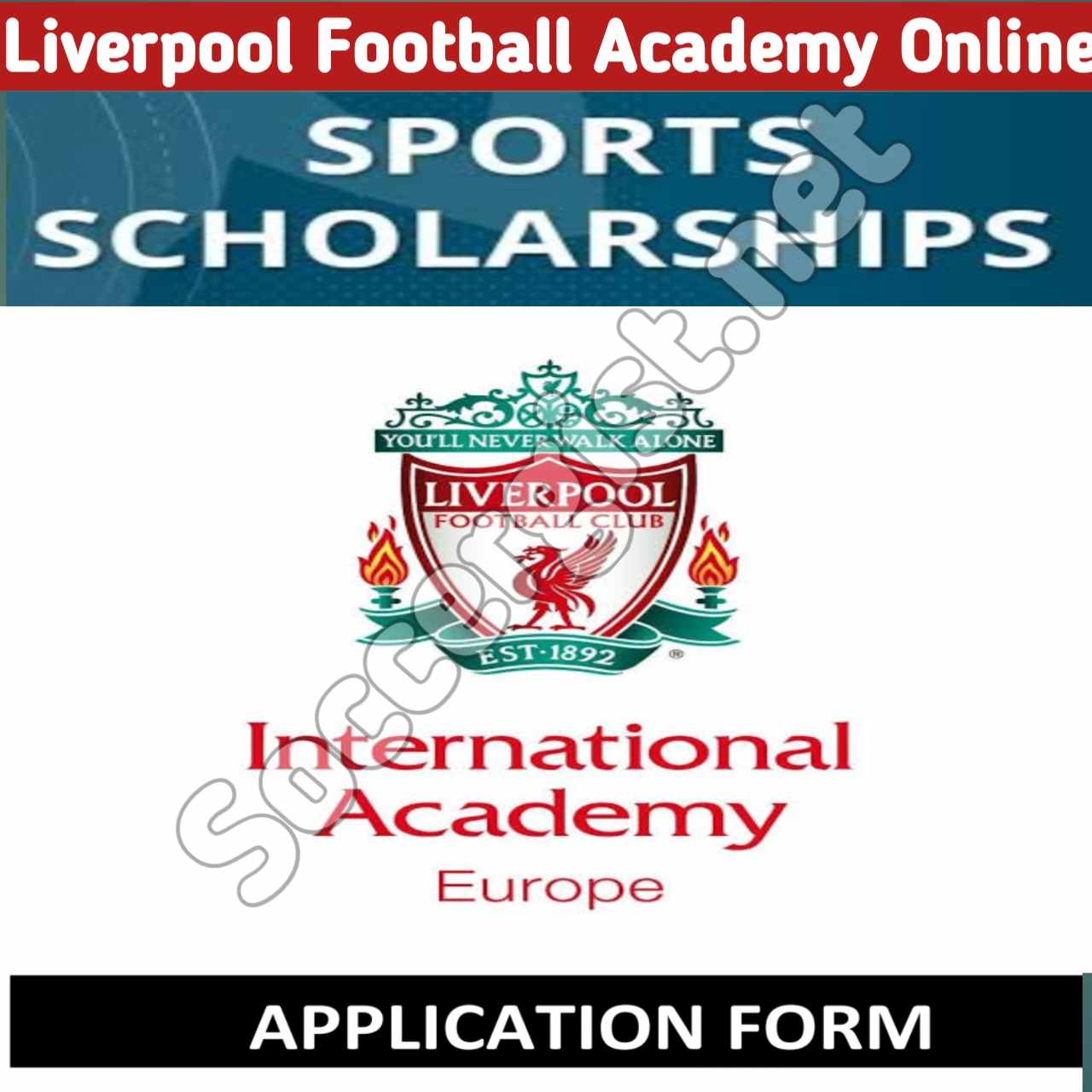 how-to-apply-liverpool-scholarship-trial-academy