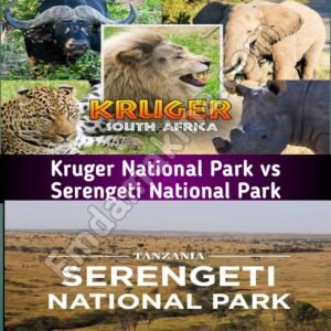 Kruger-National-Park-vs-Serengeti-National-Park