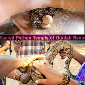 sacred_python_temple_of_ouidah_benin_pythons