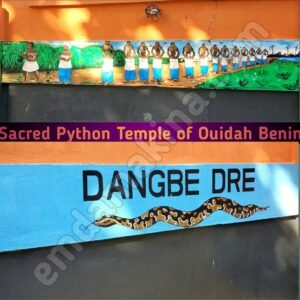sacred_python_temple_of_ouidah_benin_surondings