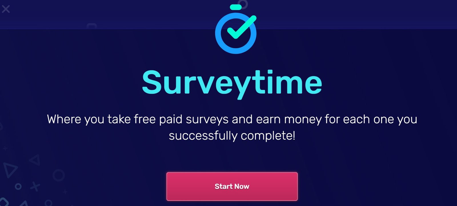 surveytime-review-2